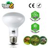 Infrared Heat Lamps12913