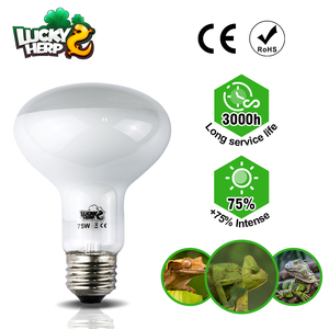 Infrared Heat Lamps12913