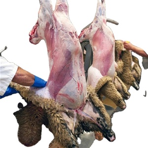 Mutton Lamb Meat7737