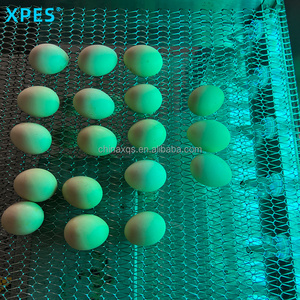 Sterilization Equipment8108