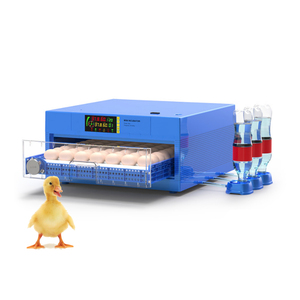 Egg Incubator Hatching Machines22091