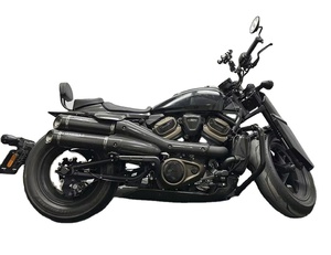 Harley Style Cruiser Bicycles9782