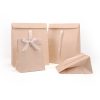 Gift Present Bags5061