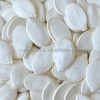 Mixed Nut Kernels78506