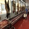Slaughter Processing Equipment7734