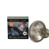Halogen Light Bulbs12917