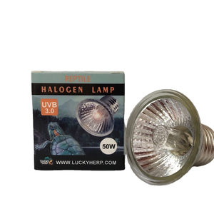 Halogen Light Bulbs12917