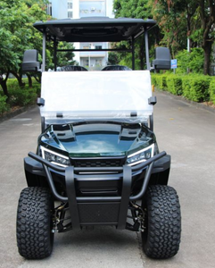 Golf Cart Buggy Vehicles9631
