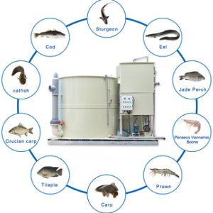 Equipment for shrimp industry pilot zone Factory Code 20828