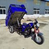 Gas Scooter Mopeds3764