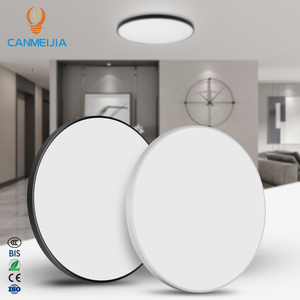 Ceiling Mount Lights5988