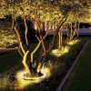 Other Holiday Lights5421