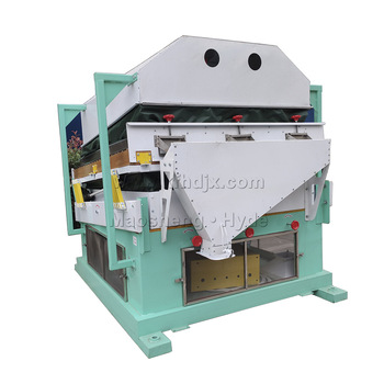 Buckwheat82173