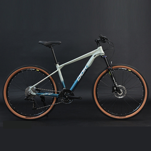 Mountain Bikes1743