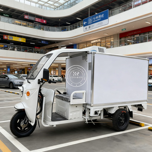 Refrigerated Cargo Trucks10221
