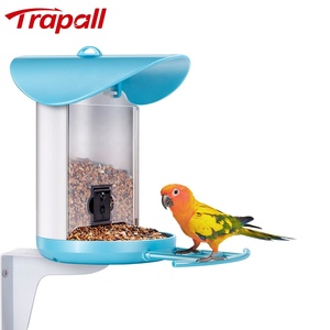 Backyard Bird Watching Supplies7793