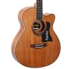 Guitars4982