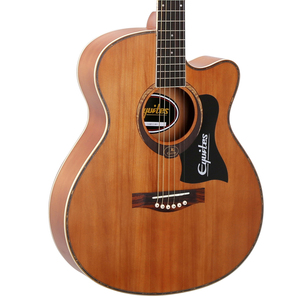 Guitars4982