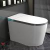 Bathroom Flush Toilet Units12926