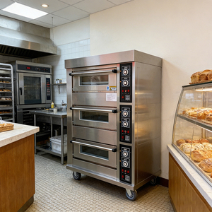 Gas Electric Baking Ovens8601