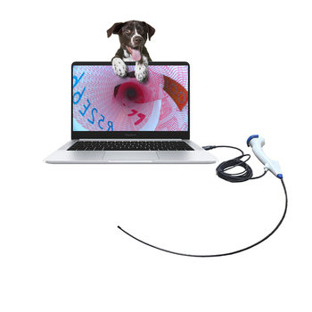 Veterinary Test Strip80426