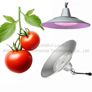 Hdce1ebc0b6254aa1a911e6d1689d769dC_300x300