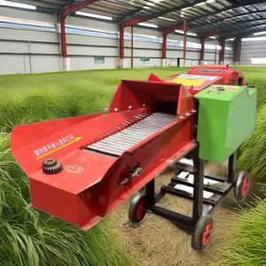 Animal Feed81450