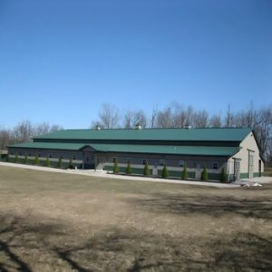 Dressage Supplies83085