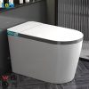 Siphon Flush Toilets12925