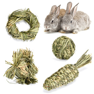 Small Pet Supplies4495