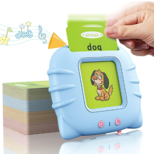 Flash Learning Card80250