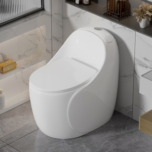 Bathroom Flush Toilet Units3421