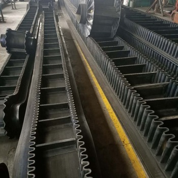 Conveyor Belt79292