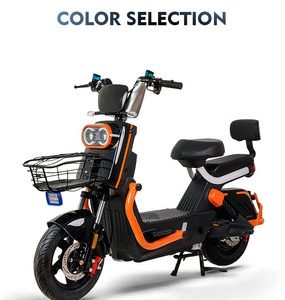 Multi-purpose Bicycle80150