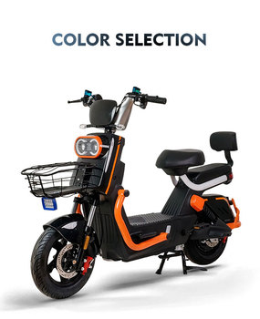 Multi-purpose Bicycle80150