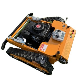 Lawn Mowers1063