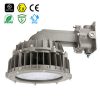 Explosion Proof Lights3463