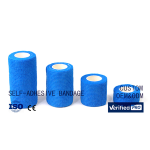 Hede23630824a47e1ae488f1f51bd8a44f_300x300