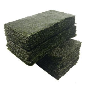 Seaweed14911