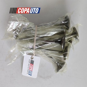 Intake Exhaust Valve & Valve Tappet11977