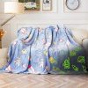 Other Blankets13748
