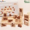 Inlay Jigsaw Puzzles7981