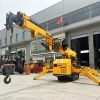 Spider Cranes1066