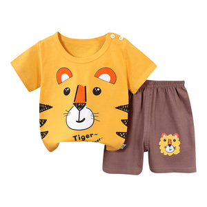 Boys Clothing Sets3870