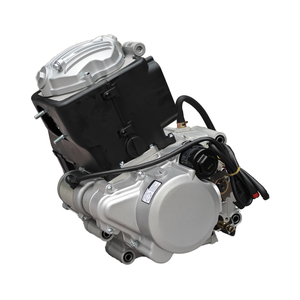 Motorcycle Electrical & Ignition Systems12309