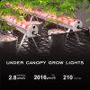 Plant Growth Regulator82241