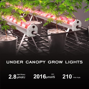 Plant Growth Regulator82241
