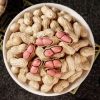 Melon Seeds78508