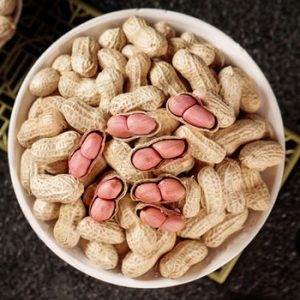 Melon Seeds78508