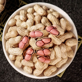 Melon Seeds78508